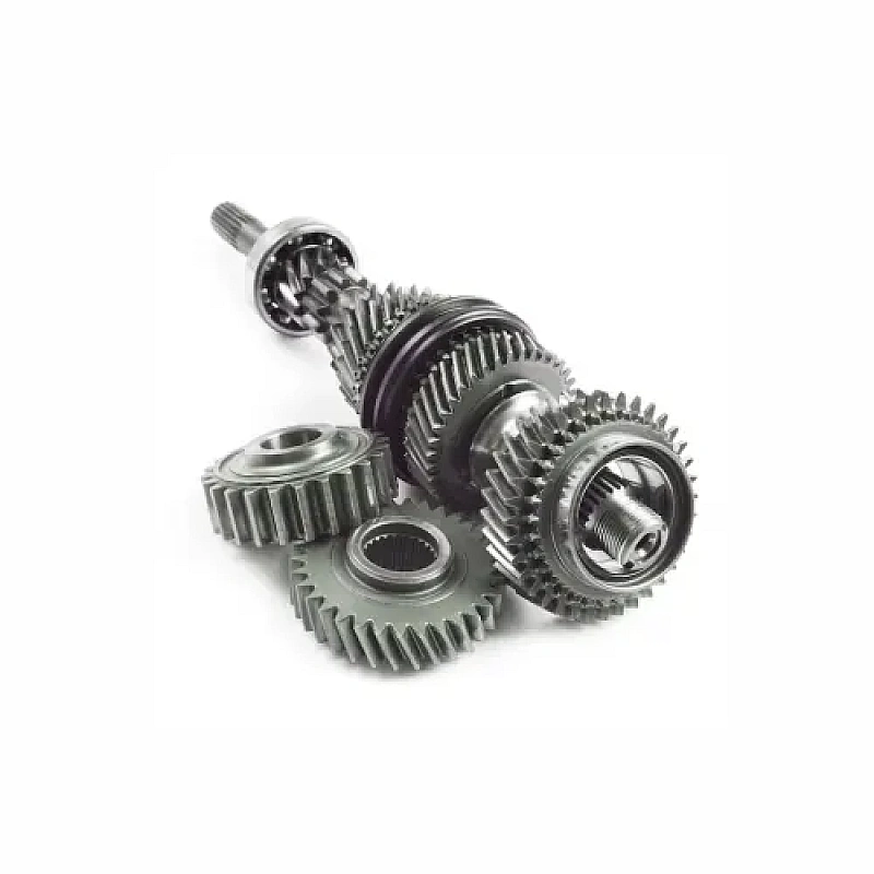 Stainless Steel Gear Manufacturer in Italy - Industrial Gear Supplier
