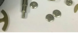 High Precision Gear